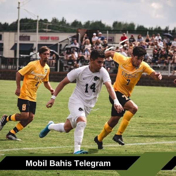 Mobil Bahis Telegram
